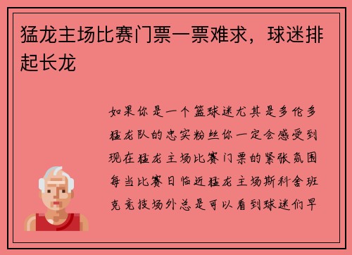 猛龙主场比赛门票一票难求，球迷排起长龙